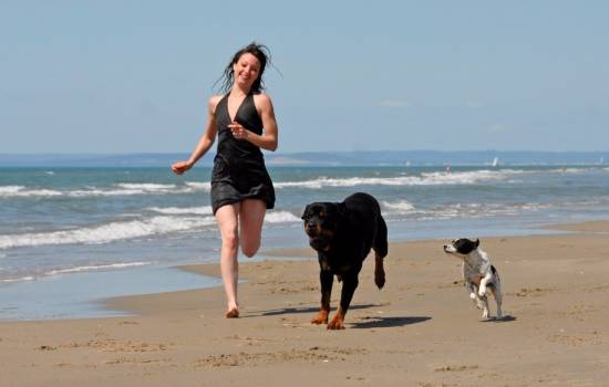 ​Nueva playa para perros abierta en Santa Pola