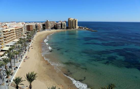 Smart palm trees to be installed in Torrevieja for phone charging at the beach
