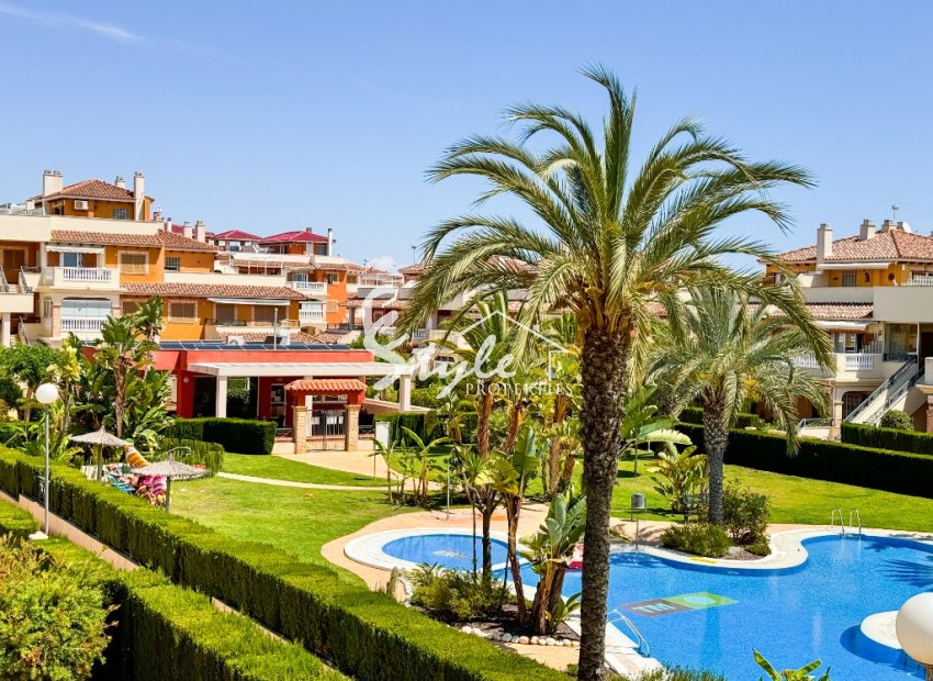 Alquiler corta estancia - Apartamento - Playa Flamenca