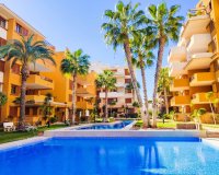 Alquiler corta estancia - Apartamento - Punta Prima - La Recoleta