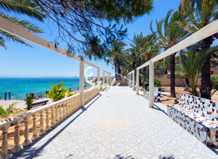 Alquiler corta estancia - Apartamento - Punta Prima - Panorama Mar