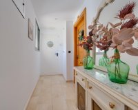 Alquiler corta estancia - Apartamento - Torrevieja