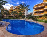 Alquiler en La Entrada, Punta Prima, Torrevieja, Costa Blanca