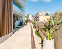 Alquiler larga estancia - Apartamento - Orihuela-Costa - Playa Flamenca