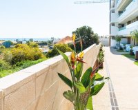 Alquiler larga estancia - Apartamento - Orihuela-Costa - Playa Flamenca