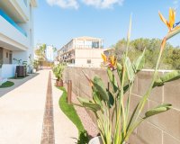 Alquiler larga estancia - Apartamento - Orihuela-Costa - Playa Flamenca