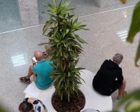 Alquiler larga estancia - Commercial - Orihuela-Costa - Playa Flamenca