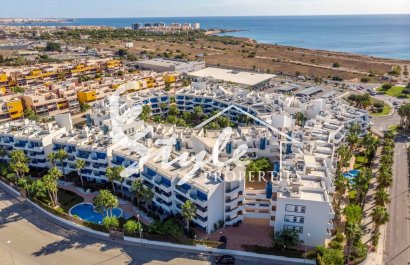 Apartamento - Вторичное жилье - Плайя Фламенка - Playa Flamenca
