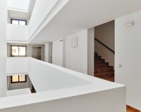 Аренда - Apartamento - Пунта Прима - Ла Энтрада