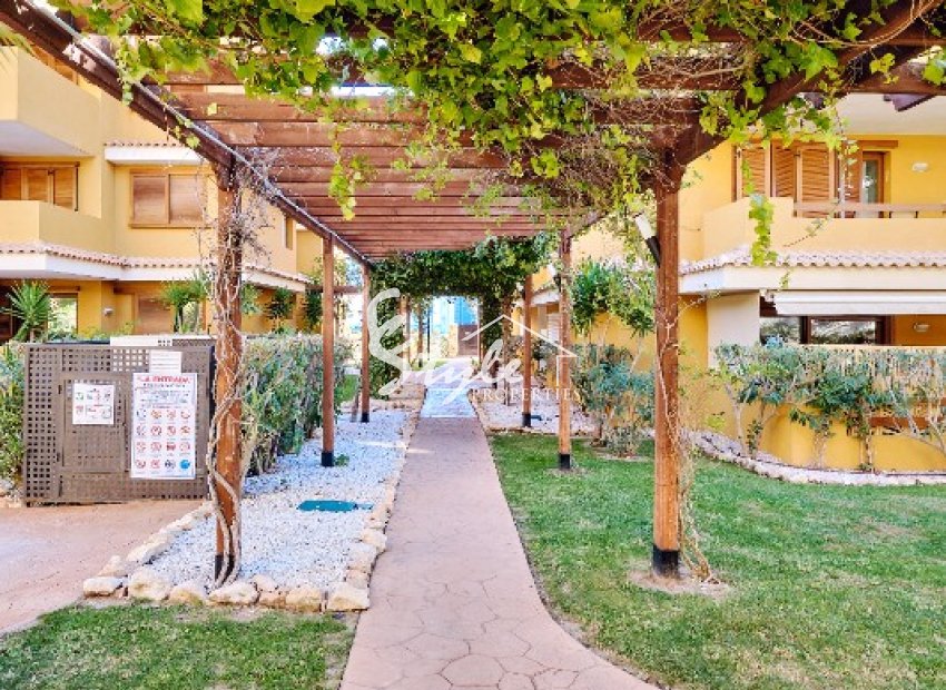 Аренда - Apartamento - Пунта Прима - Ла Энтрада