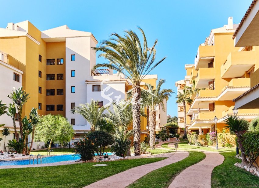 Аренда - Apartamento - Пунта Прима - Ла Энтрада