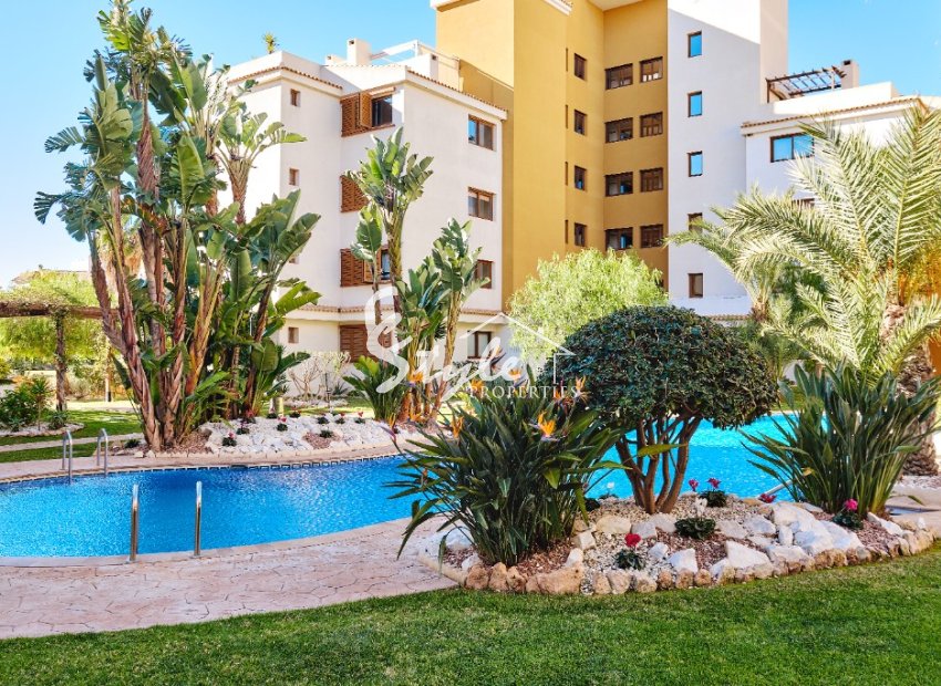 Аренда - Apartamento - Пунта Прима - Ла Энтрада