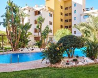 Аренда - Apartamento - Пунта Прима - Ла Энтрада