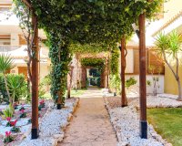 Аренда - Apartamento - Пунта Прима - Ла Энтрада