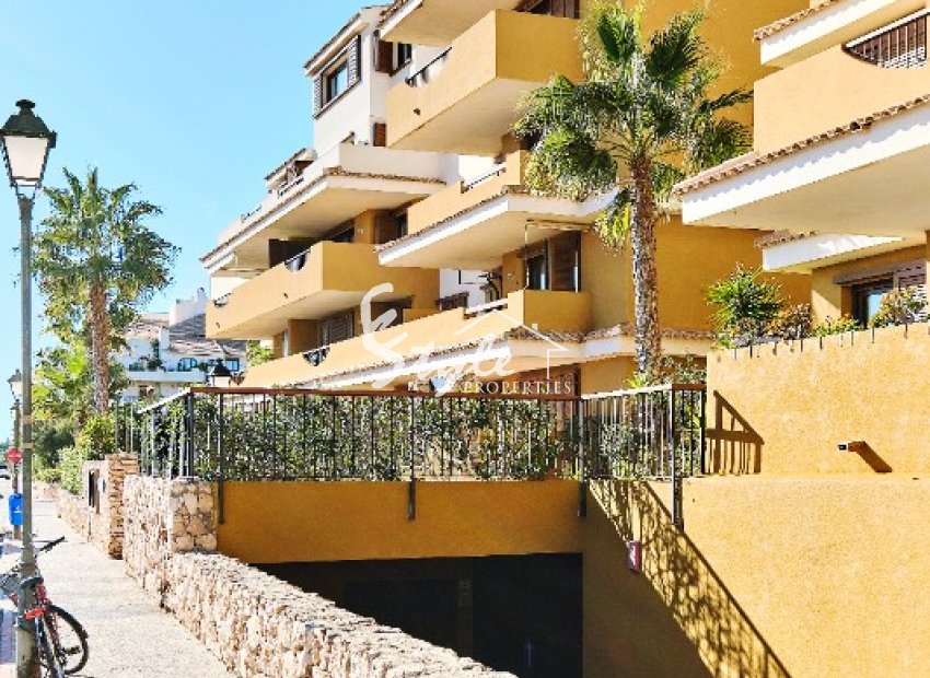 Аренда - Apartamento - Пунта Прима - Ла Энтрада