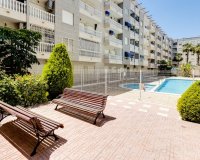 Buy apartment on the beach in Habaneras, Torrevieja, Costa Blanca. ID: 4208