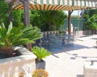 Buy Country house on a large plot in Dolores, Costa Blanca. ID: 4063