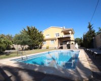 Buy Villa with pool in Costa Blanca close to sea in Cabo Roig, Orihuela Costa. ID: 6167