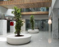 Долгосрочная аренда - Commercial - Orihuela-Costa - Playa Flamenca