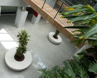 Долгосрочная аренда - Commercial - Orihuela-Costa - Playa Flamenca