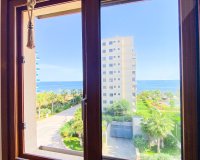 For sale beach side  south facing apartment in Parque Recoleta, Punta Prima, Torrevieja, Costa Blanca,Spain. ID3533