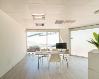 Long Term Rentals - Commercial - Orihuela-Costa - Playa Flamenca