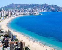 New build - Apartament  - Benidorm - Alicante