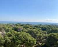 New build - Apartament  - Guardamar - Guardamar del Segura