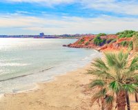 New build - Apartament  - Torrevieja