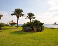 New build - Apartamento - Torrevieja