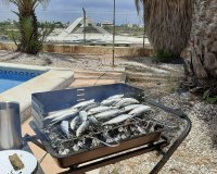 New build - terraced - San Javier