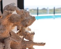 New build - Villa - Guardamar - Guardamar del Segura