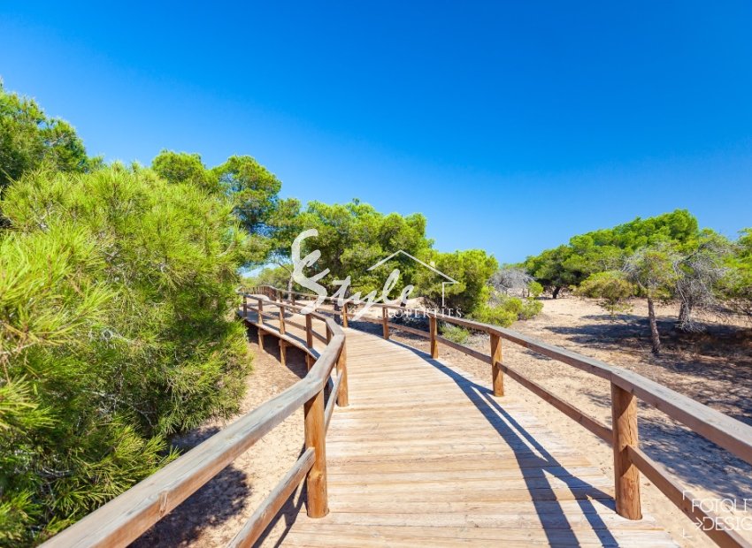 New build - Villa - Guardamar - Guardamar del Segura