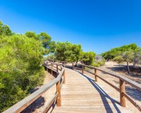 New build - Villa - Guardamar - Guardamar del Segura