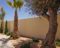 New build - Villa - La Marina - La marina