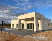 New build - Villa - Pinoso