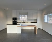 New build - Villa - Pinoso