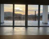 New build - Villa - Pinoso