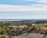 New build - Villa - San Miguel De Salinas