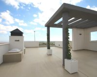New build - Villa - San Miguel De Salinas