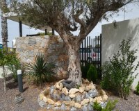 Новостройки - Apartment Penthouse - Torrevieja - Торревьеха