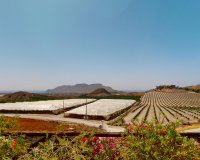 Новостройки - Detached - Águilas