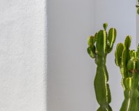 Новостройки - Detached - Лос Алькасарес