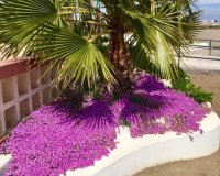 Новостройки - Вилла - Murcia