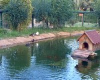 Новостройки - Вилла - Murcia