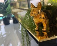 Новостройки - Вилла - Торревьеха