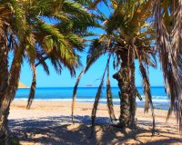 Nuevo - Apartamento - Benidorm - Alicante