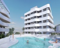 Nuevo - Apartamento - Guardamar - Guardamar del Segura