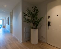 Nuevo - Apartamento - Guardamar - Guardamar del Segura