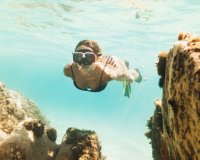 Nuevo - Apartamento - La Manga - La Manga del Mar Menor